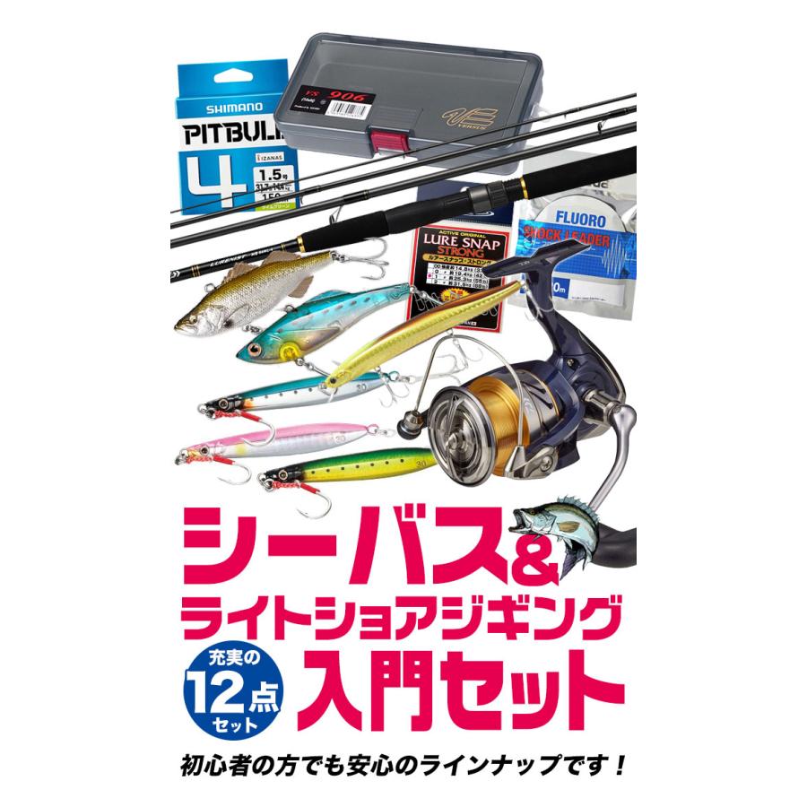 DAIWAシマノスピニングリール&ライトショアジギング、シーバスロッドセット
