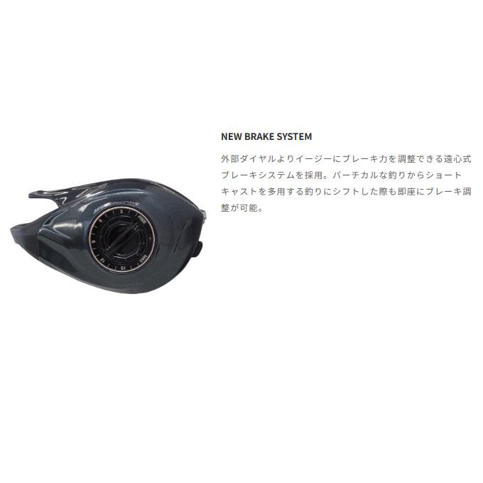 tailwalk（テイルウォーク） 【取り寄せ商品】 セイレンス (100HG-PH/R
