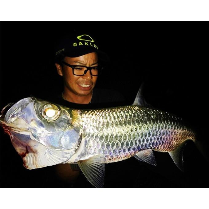 ホッツ Fishing Gang FIDELITY AZUSA 70L (ライトゲームロッド