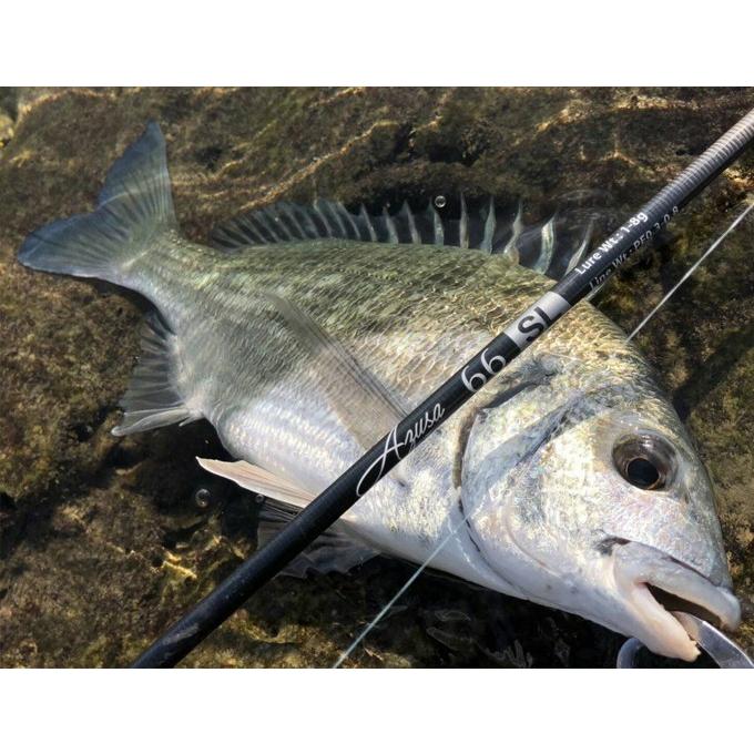 ホッツ Fishing Gang FIDELITY AZUSA 70L (ライトゲームロッド