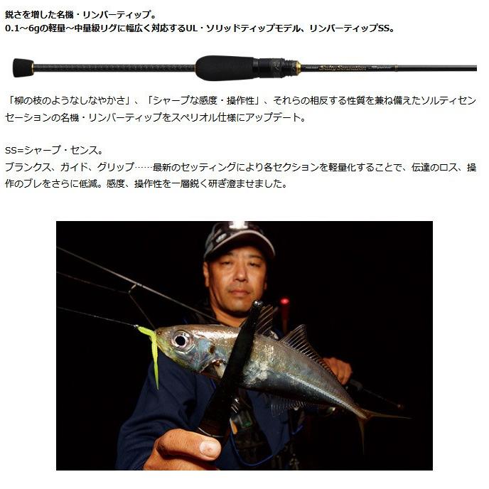 EverGreen エバーグリーン ソルティーセンセーション スペリオル EverGreen エバーグリーン ソルティーセンセーション スペリオル