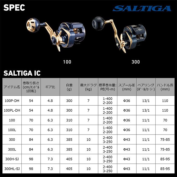 DAIWA（ダイワ） 21 ソルティガ IC 300L (左ハンドル) 2021年モデル