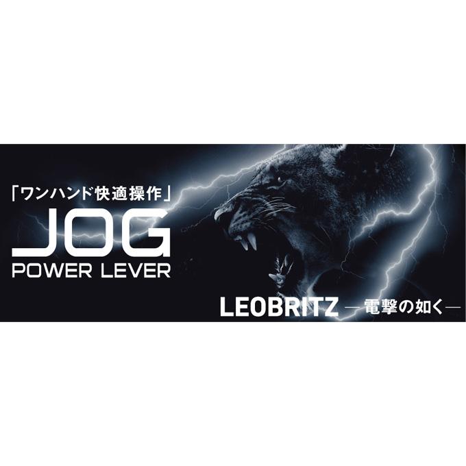 DAIWA(釣り) ダイワ レオブリッツ 500JP (右ハンドル) 2020年 DAIWA(釣り) ダイワ レオブリッツ 500JP (右ハンドル) 2020年