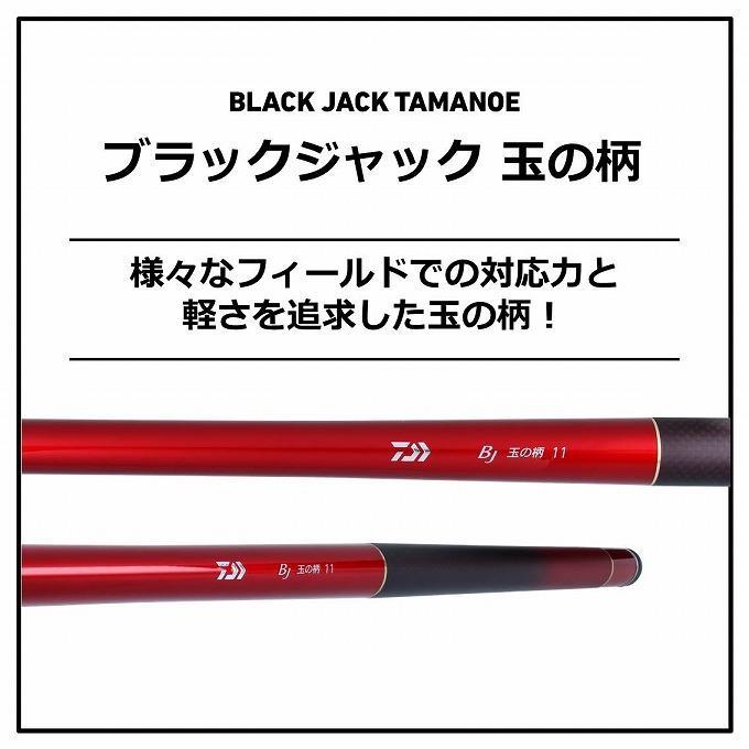 DAIWA（釣り） 【アウトレット商品】ダイワ 20 BJ 玉の柄 11