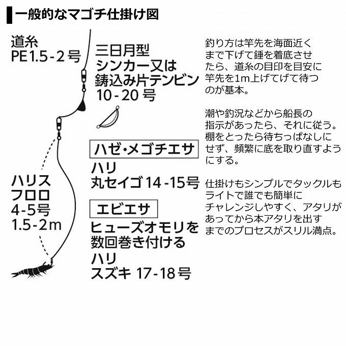 DAIWA（ダイワ） 【取り寄せ商品】 21 マゴチ X 210・R (2021年モデル