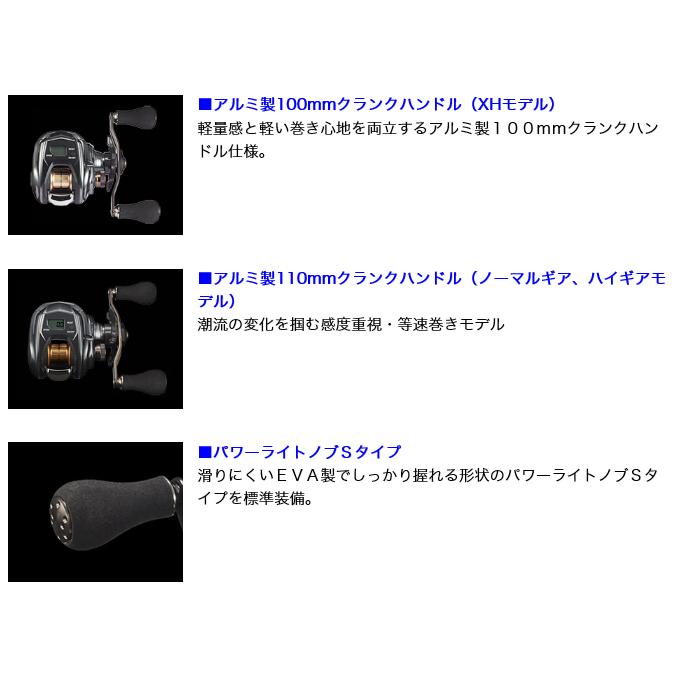 DAIWA（釣り） ダイワ 21 ティエラ IC 100L (左ハンドル) 2021年