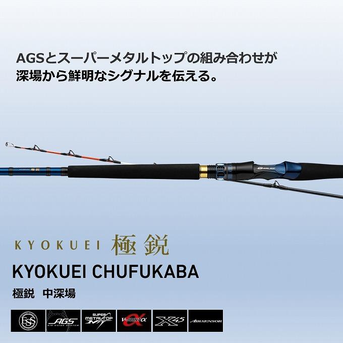 DAIWA(釣り) 【取り寄せ商品】 ダイワ 22 極鋭 中深場 H-205 DAIWA(釣り) 【取り寄せ商品】 ダイワ 22 極鋭 中深場 H-205