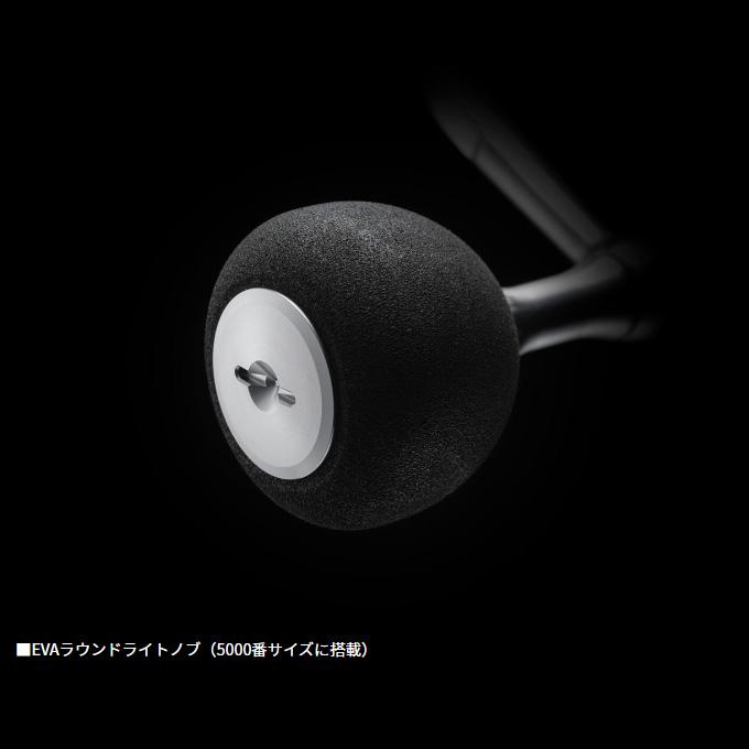 DAIWA（ダイワ） 24 セルテート FC LT2000S-P (2024年モデル
