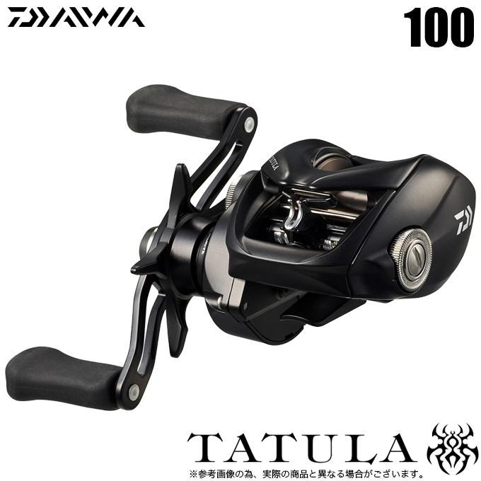 DAIWA（釣り） ダイワ 24 タトゥーラ TW 100 右ハンドル (2024年モデル 