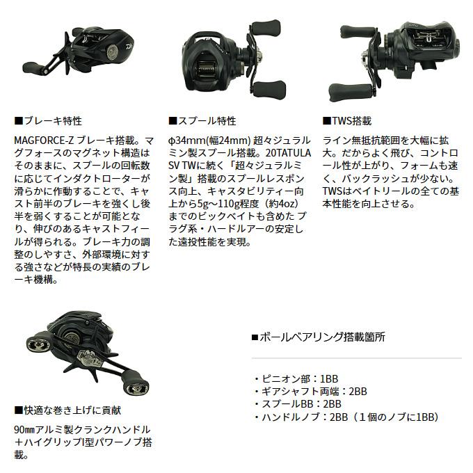 DAIWA（釣り） ダイワ 24 タトゥーラ TW 100L 左ハンドル (2024