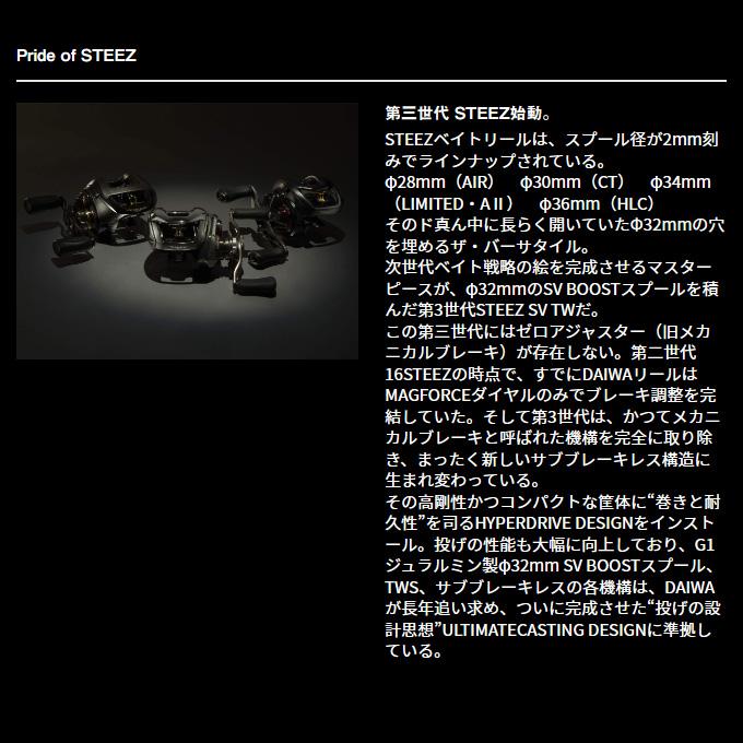 DAIWA(釣り) ダイワ 24 スティーズ SV TW 100 右ハンドル DAIWA(釣り) ダイワ 24 スティーズ SV TW 100 右ハンドル