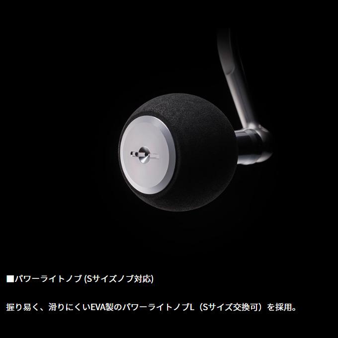 DAIWA（釣り） ダイワ 24 セルテート SW 5000-XH (2024年モデル