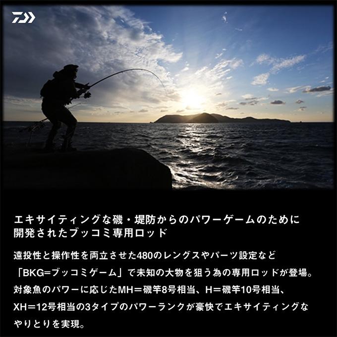 DAIWA（ダイワ） 25 BKG バトルゲーム ブッコミゲーム T L480(磯竿