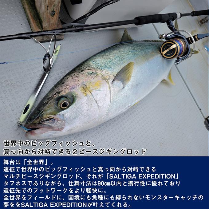 ダイワ 25 ソルティガ J EXPEDITION 50S-6 スピニングモデル (オフショアジギングロッド) 2025年モデル/エクスペディション /(5) 【Σ05】_2