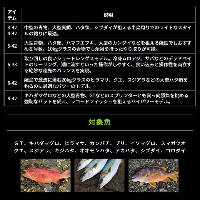 DAIWA（ダイワ） 25 バトルゲーム XFG エクストリームフカセゲーム 6