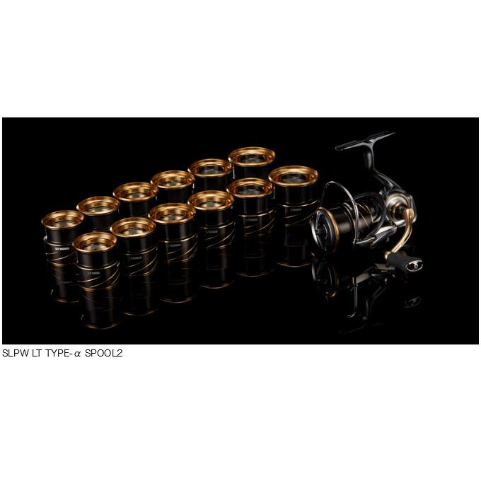 DAIWA（ダイワ） SLP WORKS SLPW LT TYPE-αスプール2 (1000S