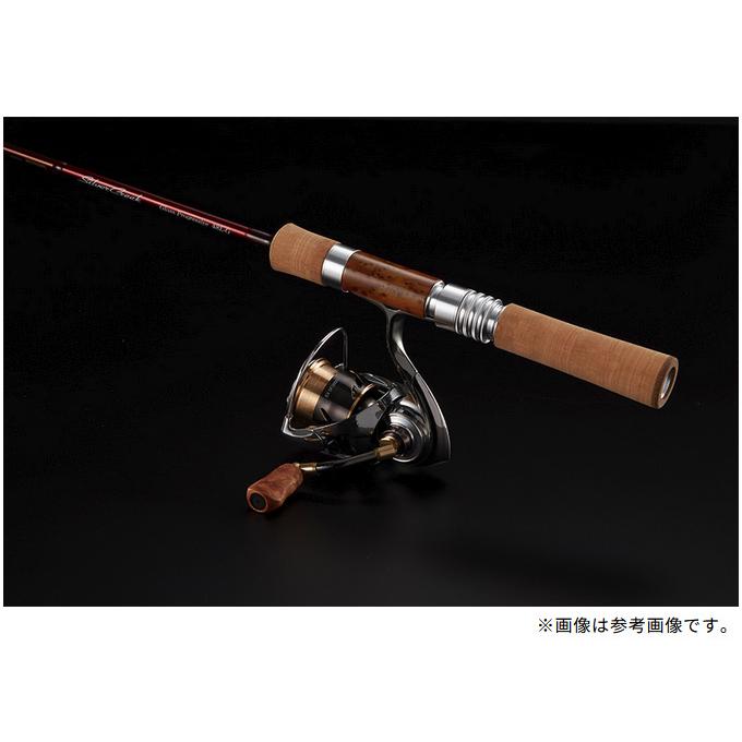 DAIWA（ダイワ） 【取り寄せ商品】 SLP WORKS SLPW Iシェイプ