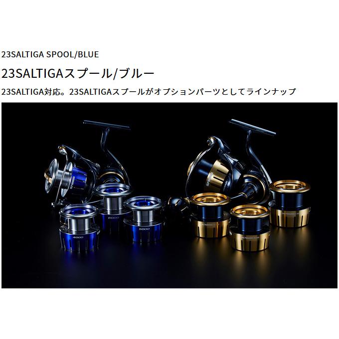 DAIWA（ダイワ） 【取り寄せ商品】 SLP WORKS 23 ソルティガ スプール