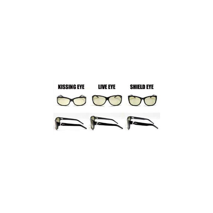 DAIWA（ダイワ） 【目玉商品】 ガンクラフト SHIELD EYE ブラッド