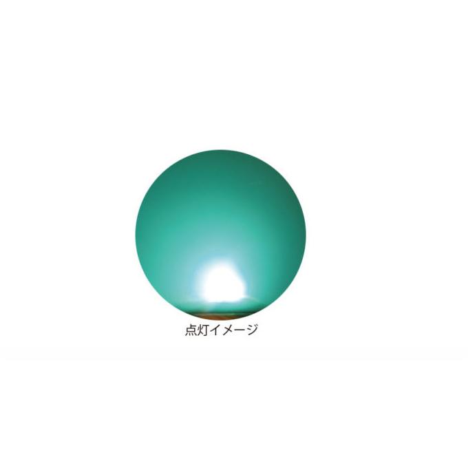 Hapyson 【取り寄せ商品】 ハピソン YF-501 乾電池式高輝度LED水中集魚