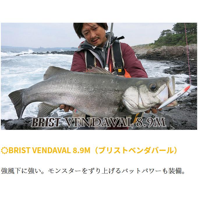 Fishman ベンダバール 8.9 Fishman(フィッシュマン) BRIST VENDAVAL(ブリスト ベンダバール