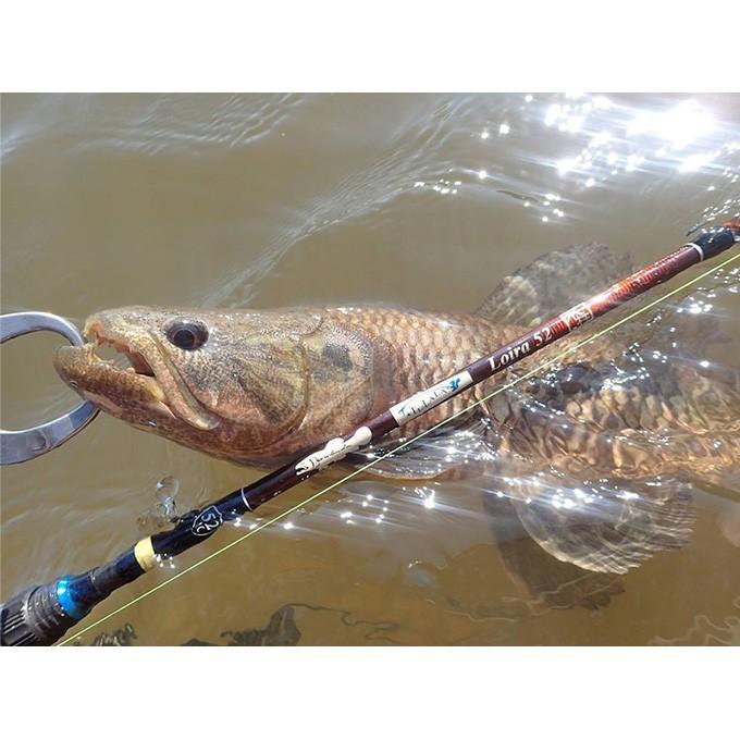 ツララ ロイラ 52 (Loira 52)(5) 【Σ05】 : つり具のマルニシWEB店2nd