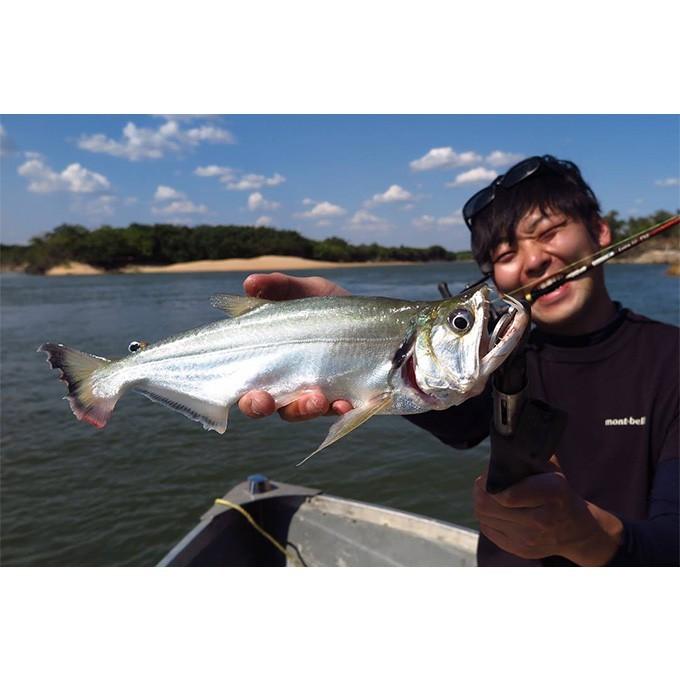 ツララ ロイラ 52 (Loira 52)(5) 【Σ05】 : つり具のマルニシWEB店2nd