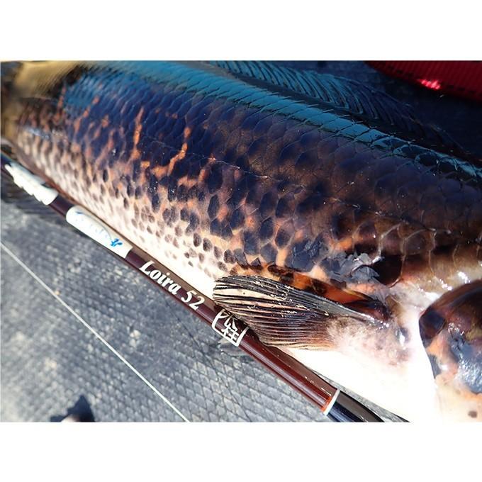 ツララ ロイラ 52 (Loira 52)(5) 【Σ05】 : つり具のマルニシWEB店2nd