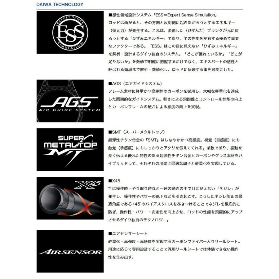 DAIWA（ダイワ） 【取り寄せ商品】 極鋭タチウオ ゲーム AGS (H-183