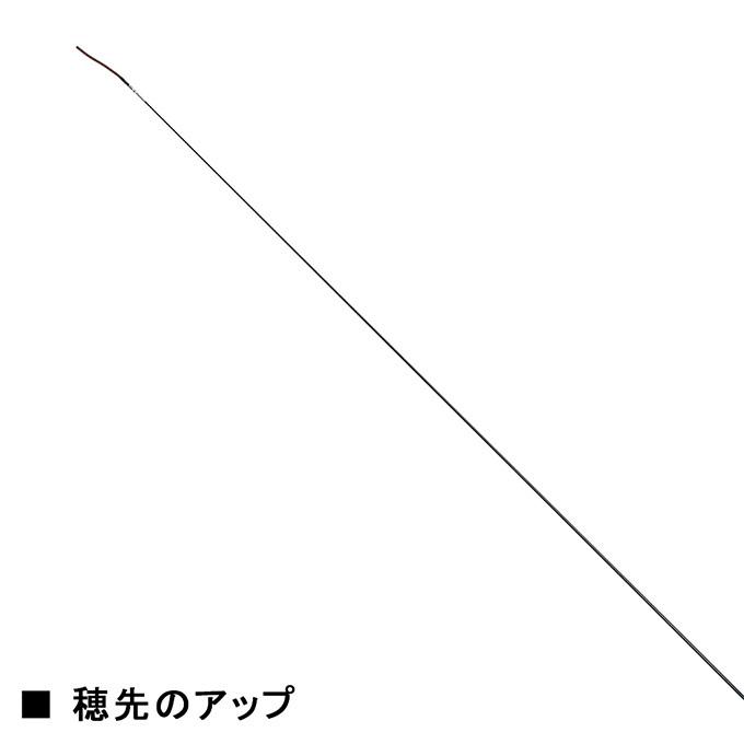 DAIWA(釣り) 【目玉商品】ダイワ マスター テンカラ L (LT 36 DAIWA(釣り) 【目玉商品】ダイワ マスター テンカラ L (LT 36