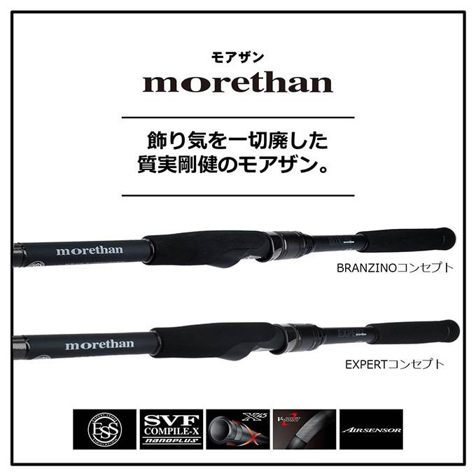 DAIWA（ダイワ） 【目玉商品】ダイワ モアザン AGS EX 110M・V 
