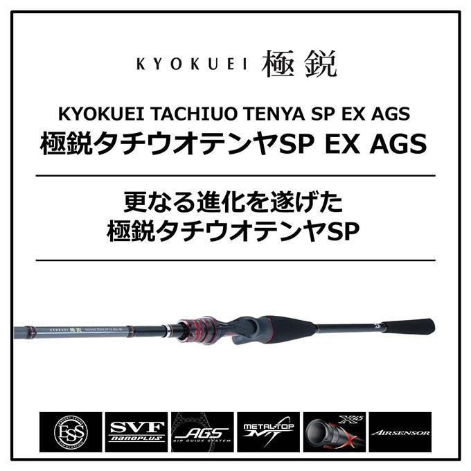 目玉商品】ダイワ 極鋭タチウオ テンヤSP EX AGS 192 (2020年モデル 