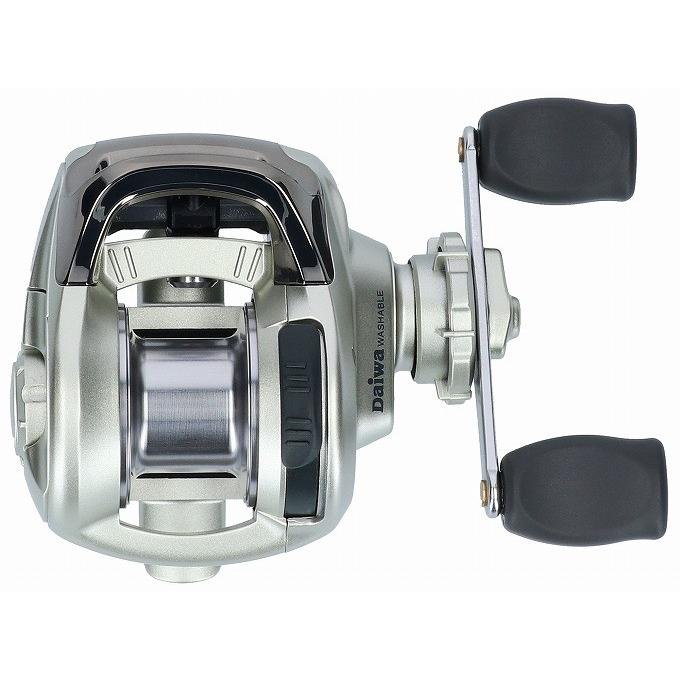 DAIWA（ダイワ） 【取り寄せ商品】ダイワ チヌチェイサーHG 太糸 (筏