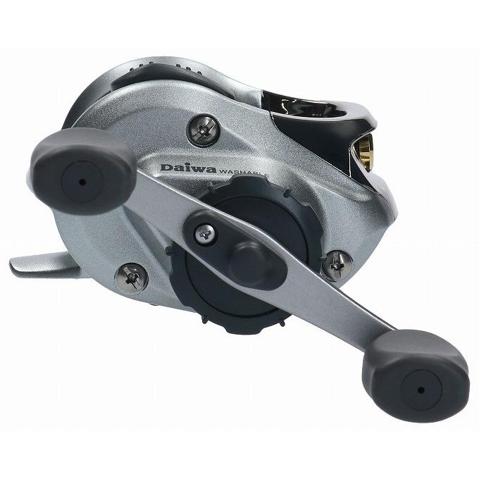 DAIWA（ダイワ） 【取り寄せ商品】ダイワ チヌチェイサー 細糸 (筏