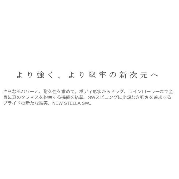 シマノ 19 ステラSW 14000XG (2019年モデル) スピニングリール シマノ 19 ステラSW 14000XG (2019年モデル) スピニングリール