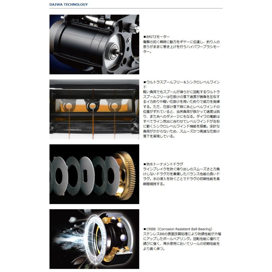 DAIWA（釣り） 【取り寄せ商品】 ダイワ レオブリッツ S500(右ハンドル 