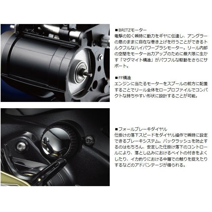 DAIWA（ダイワ） 【目玉商品】ダイワ レオブリッツ500J (右ハンドル
