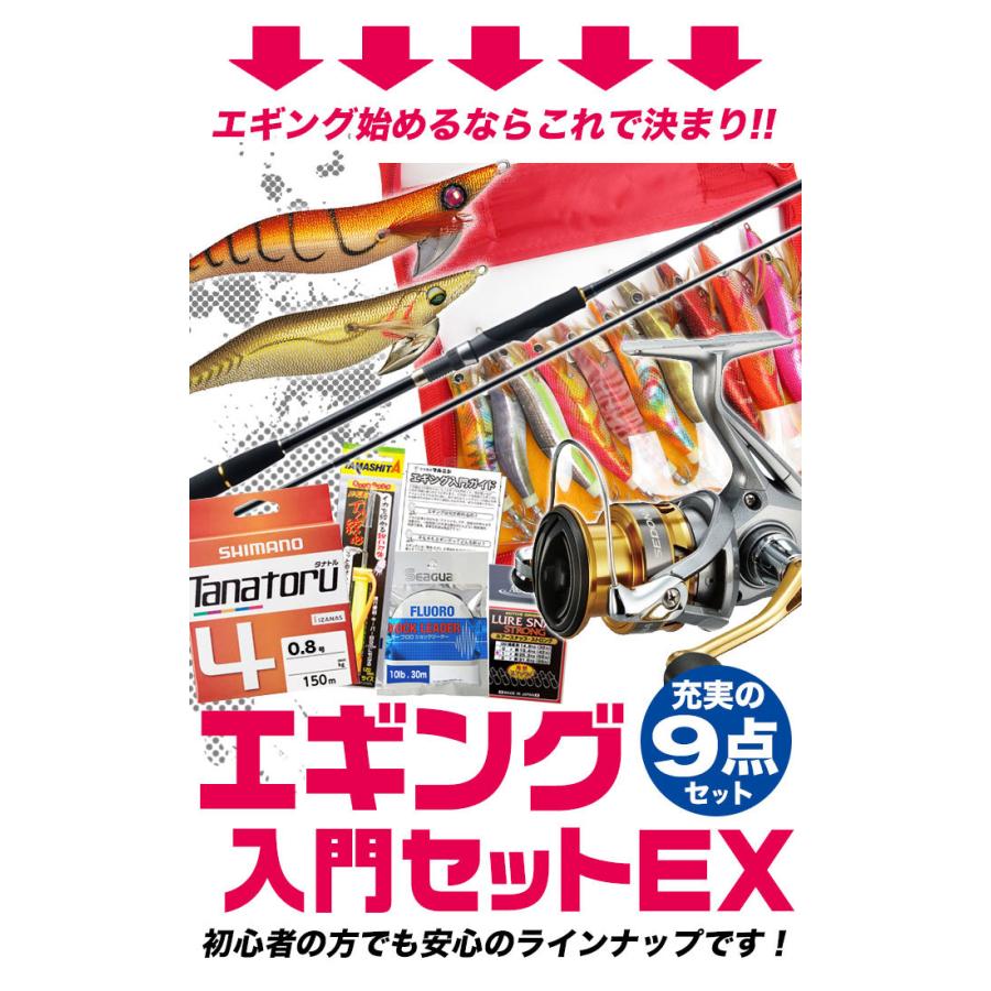 100 の保証 エギング入門セットex メジャークラフト ロッド リール エギ12個 その他用品セット き決済 E2 安心の定価販売 Farmaequiposgeko Cl