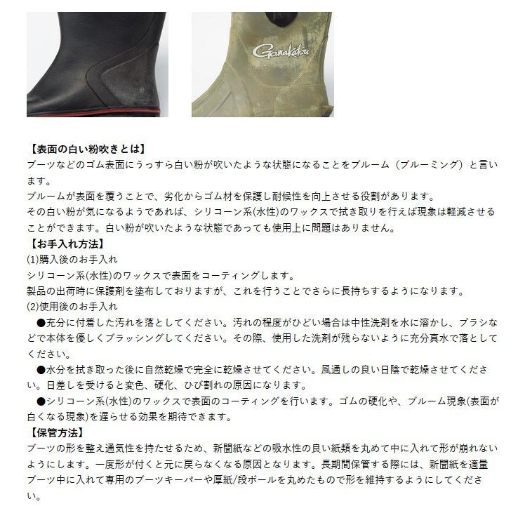 購入不可 参考画像 開成国立必勝テキスト 5教科全テキスト 全解答解説付き