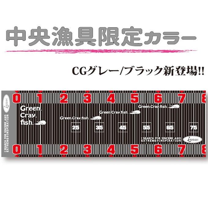 一誠 HA-BA-HI-RO SCALE（幅広スケール）【メール便配送可】(5) 【Σ01 