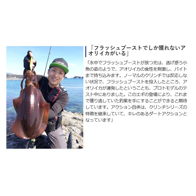 エギ・餌木 セット エメラルダス　クリンチ　エギ王 シマノ QE-X30T セフィア クリンチ フラッシュブースト 3.0号