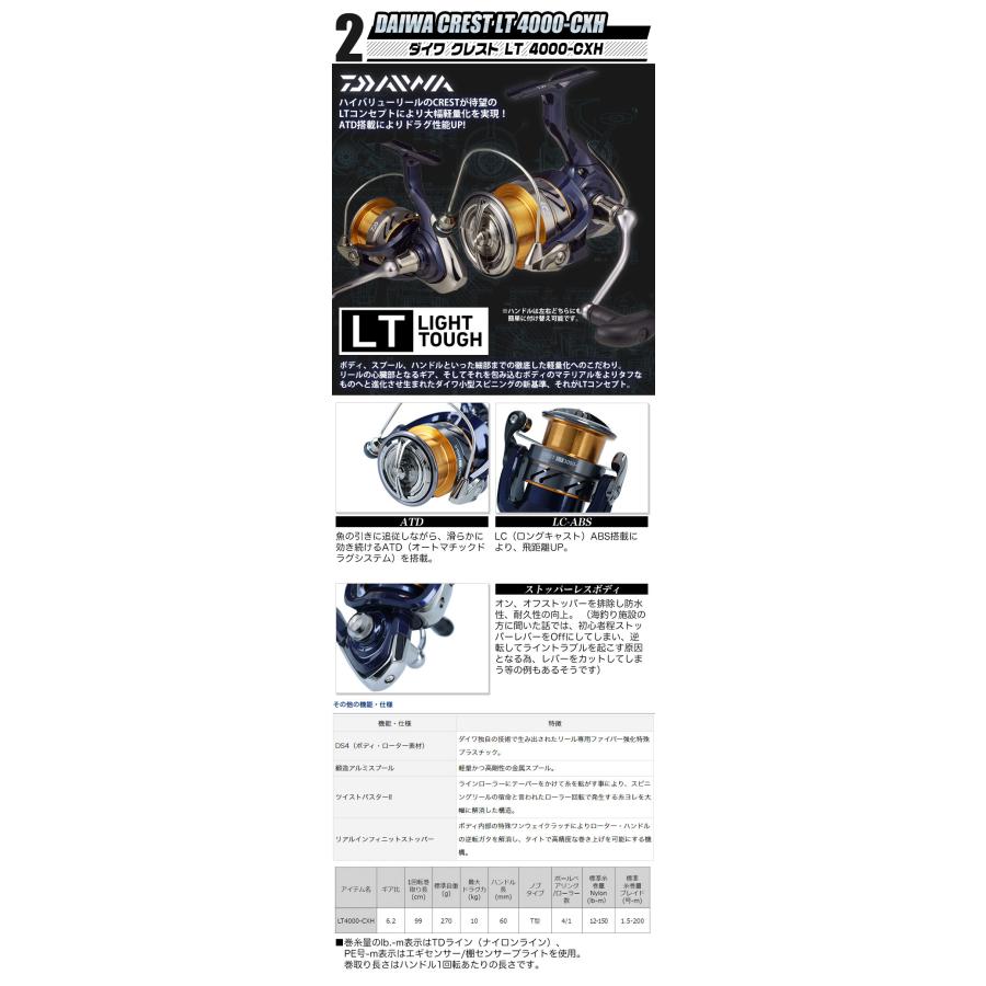DAIWA - ライトショアジギングセット ダイワ シーバス＆ライトショアジギング入門セット【代引き決済
