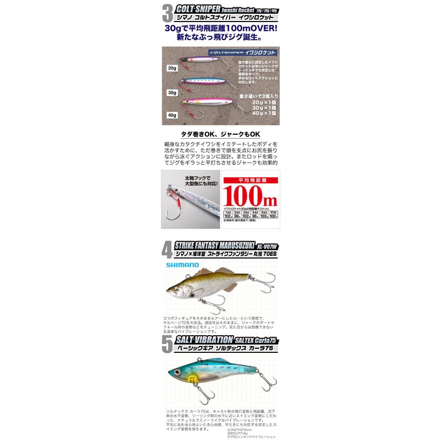 シマノ シーバス＆ライトショアジギング入門セット【代引き決済不可