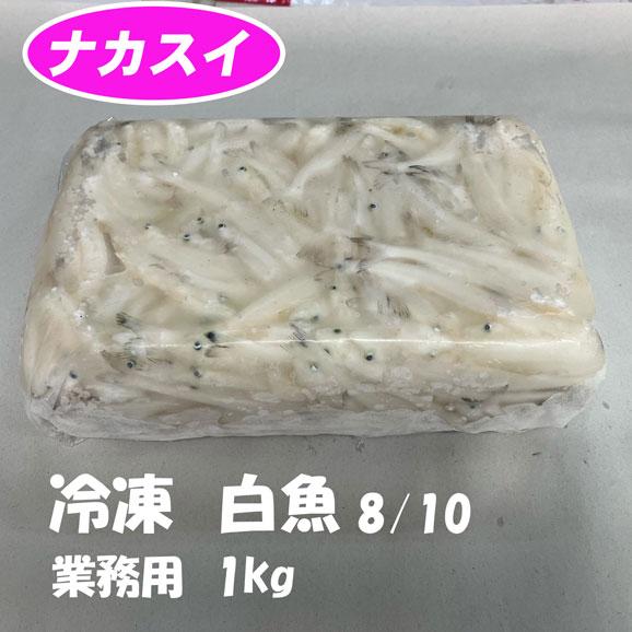 冷凍白魚 1kg : 食材問屋 ナカスイ - 通販 - Yahoo!ショッピング