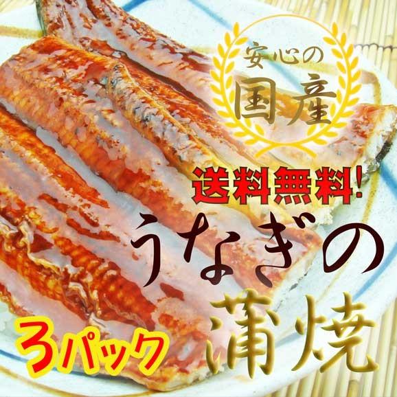 土用丑の日まで値下げ中！！九州産うなぎ蒲焼１㎏冷凍便にてお届け！ 楽天市場】うなぎ蒲焼 1尾入 一尾250g前後 母の日 父の日 土用の