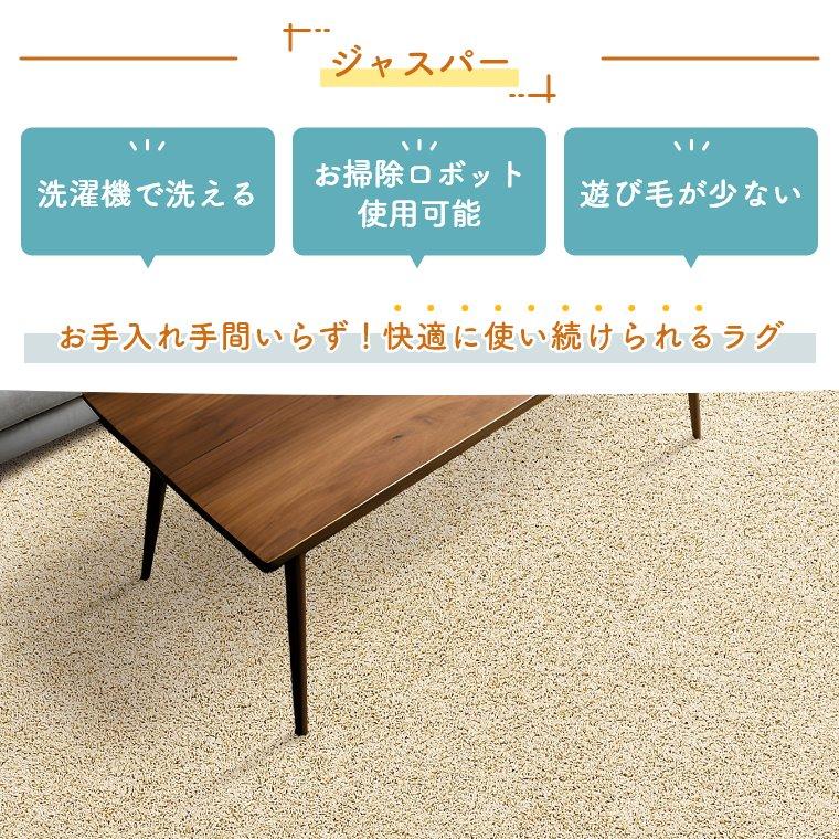 プレーベル ラグ 洗える シンプル 190×290 cm ホットカーペット 無地