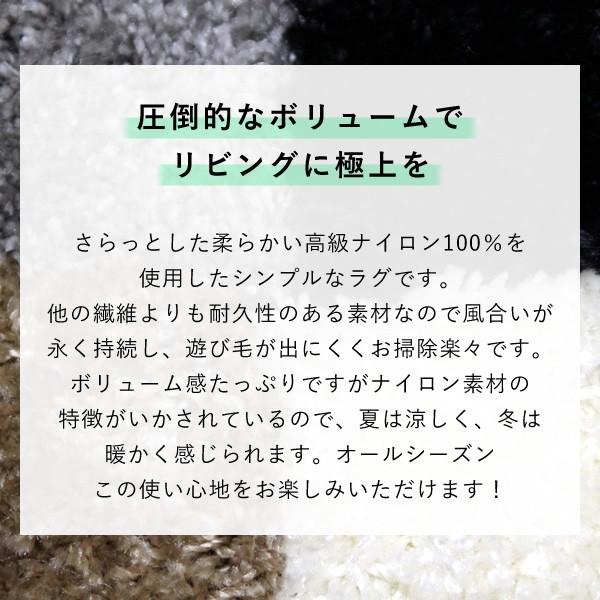 ラグ 無地 シンプル ふかふかの国産高級ラグ ジェイド 352×352cm 江戸間8帖 プレーベル ラグ  カーペット シャギーラグ 国産 防炎 ラグ｜f-news｜06