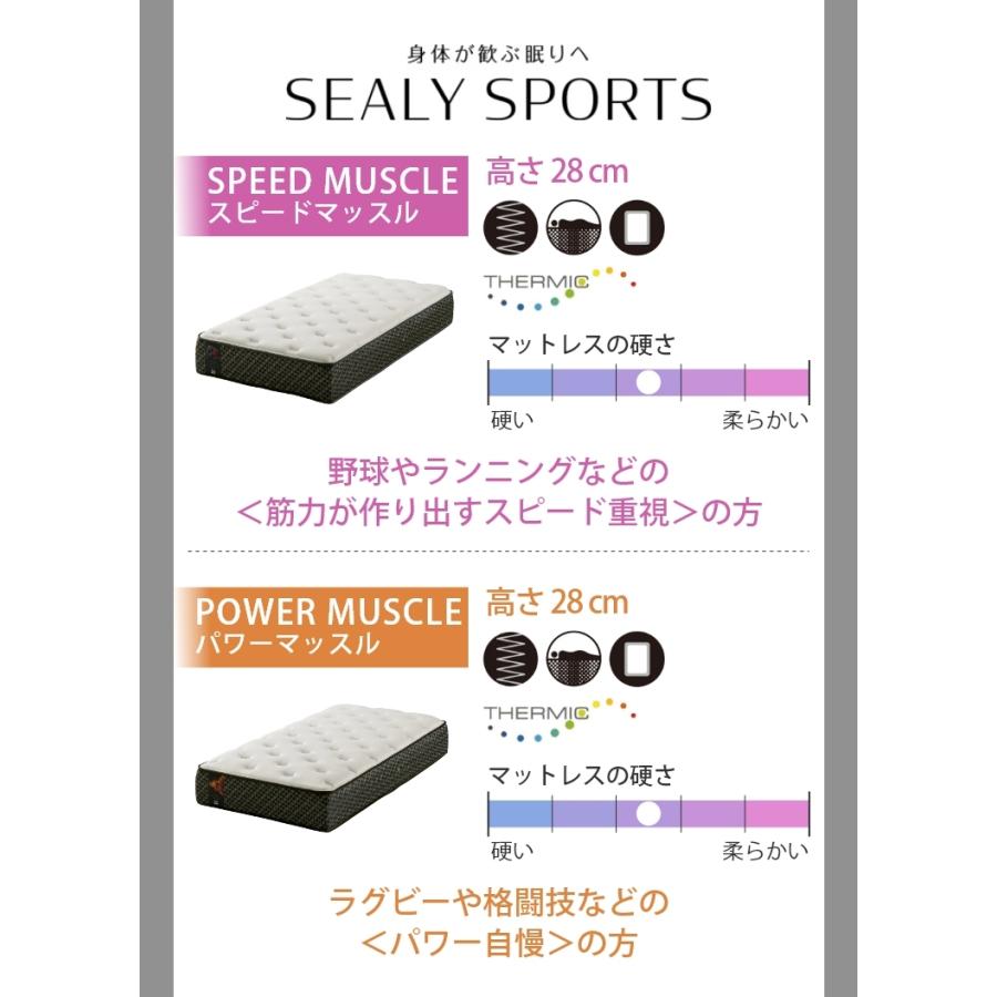 Sealy マットレス シ−リー シーリースポーツ シナジー 32cm厚 D Sealy マットレス シ−リー シーリースポーツ シナジー 32cm厚 D
