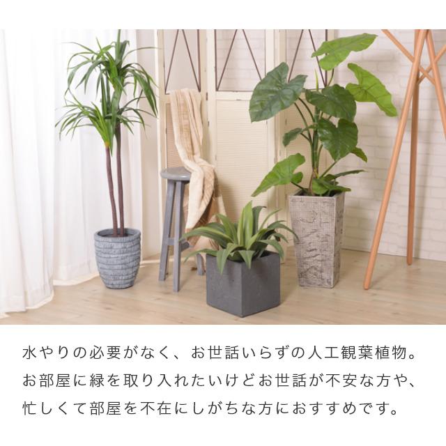 人工観葉植物 観葉植物 造花 手軽にお部屋に緑を フェイクグリーン ドラセナ おしゃれ 水やり不要 ギフト インテリア リビング 室内 模様替え オフィス 店舗 58 244 366 家具のホンダ Yahoo 店 通販 Yahoo ショッピング