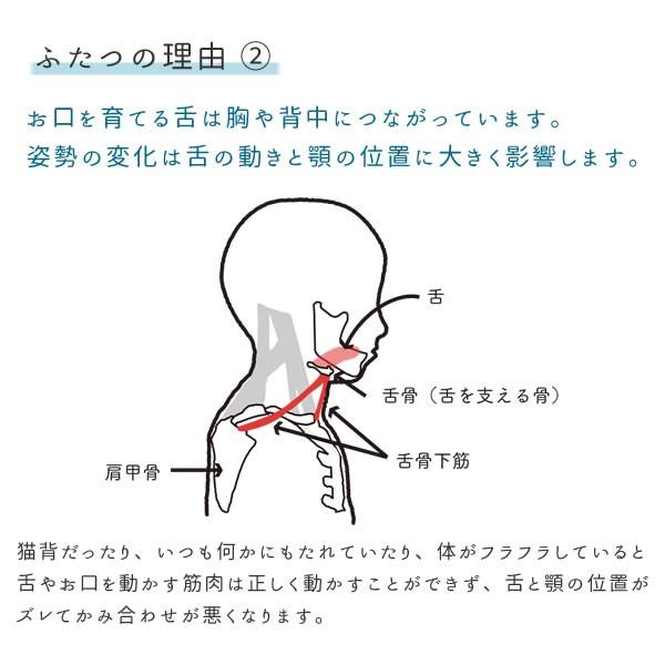 ベビーチェア ハイチェア キッズチェア マッチーズハイチェア マッチーズチェア 歯並び 食育 離乳食 チェア 天然木 シンプル 赤ちゃん yamatoya 大和屋 | 大和屋 | 06